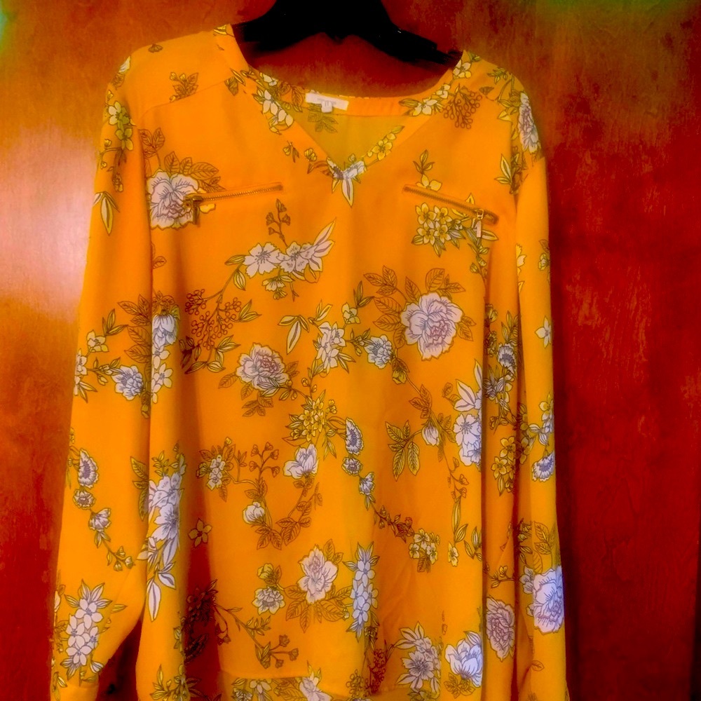 Maurice’s Floral Long sleeve Blouse size 2x